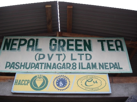 Teegärten in Nepal